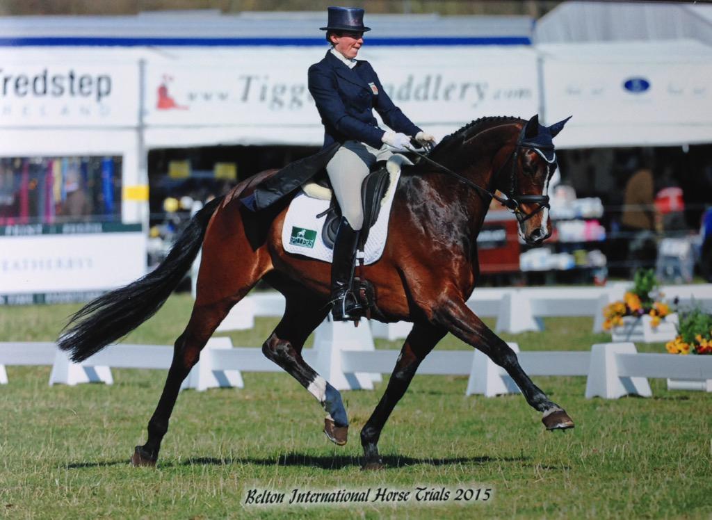 CharlotteAitke1's tweet photo. @AFDressage check out Bayano @FHEventing! #fancypony #dressagequeen #goodjob π http://t.co/bzNnpugZVB