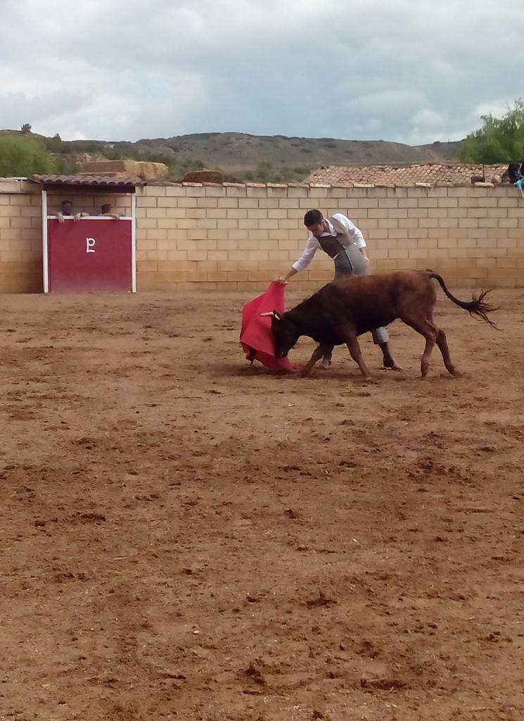 <a href="/ffloresc9/">Fernando Flores</a> tentanto en Rio Bravo. Muchas gracias al <a href="/clubtaurino/">Club Taurino Arnedo</a> y al <a href="/circulotaurus/">Círculo Taurus</a>