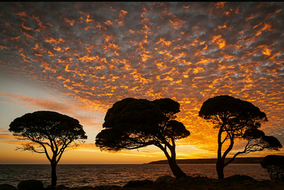 saltandstone's tweet image. The work by @johnchapple will take your breath away. #inspiredwork #talentedartist #evolutionoflove