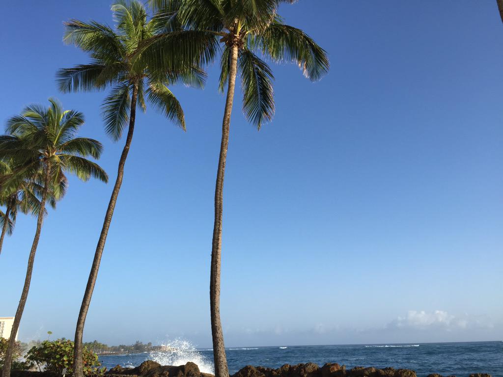 PRDivingGP's tweet photo. Last day of competition today. Looks like it'll be another beautiful day in San Juan. http://t.co/p6tBj85NwU