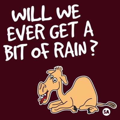 HairyBabyTees's tweet photo. Jayzus 'tis roastin #sminky #camel http://t.co/M27vfxc02V
