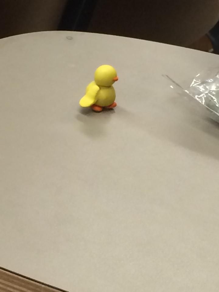CMUNCNYTimes's tweet photo. Asia Editor reports that Benjamin Franklin proposes to change state bird to the #duck #patriotism #USA http://t.co/gh7LXBevEH