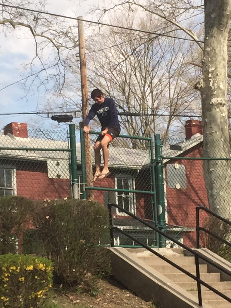 Community pick up day, Sheep skies a fence.  #sheepstats <a href="/sheepultilyfe/">Sheep</a>