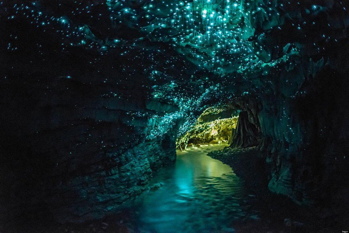 OurPlanetAr's tweet photo. الكهف المضيء في نيوزلندا، سبب هذه الأضواء هي ديدان تحمل مواد مشعة فسبحان الله العظيم
تصوير © Redditor Forevergone http://t.co/To0WyobAWQ