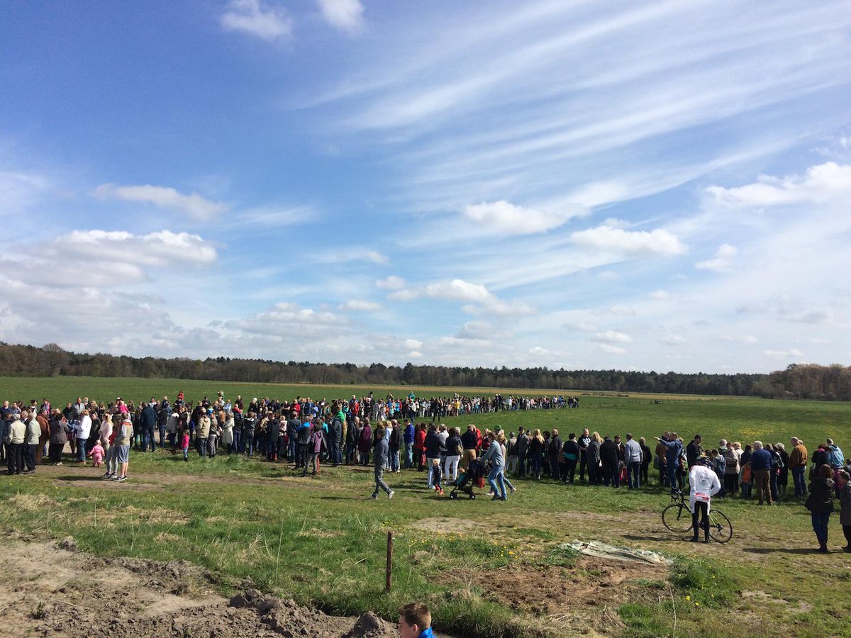 Geslaagde dag. #koeienindewei