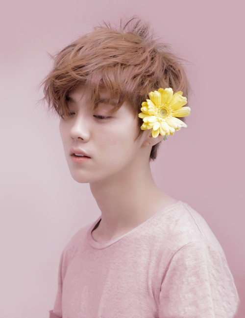\" We love you and we miss you. Happy Birthday Lu Han 