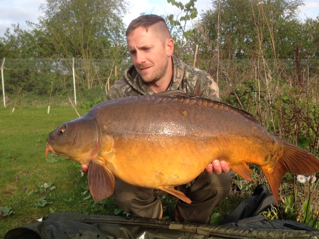 Titan1606's tweet photo. Woke this morning to this beauty,27lb and the red enzyme doing it again #denhambaits #getonit #redenzyne http://t.co/Nzd9VZQKSv
