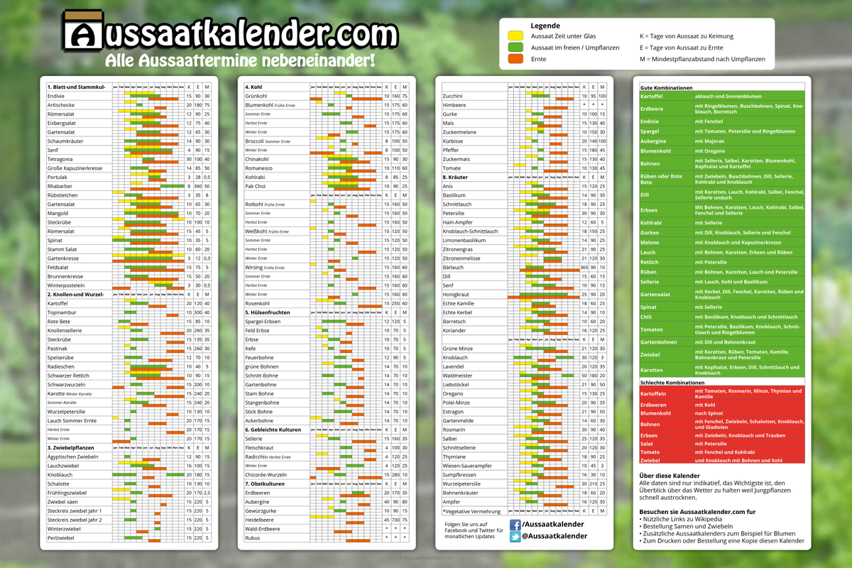 Aussaatkalender April: Endivie, Rüben, Pastinake, Rettich, Spinat, Kresse, Möhre. #gemüse #kräuter