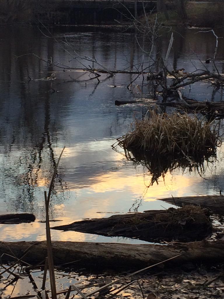 Jess Adkison tweet media