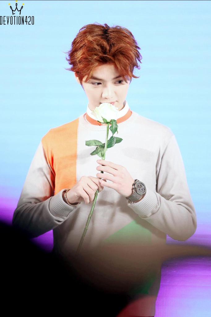 Happy Birthday, Lu Han. Thank you for everything. I looooove you!  