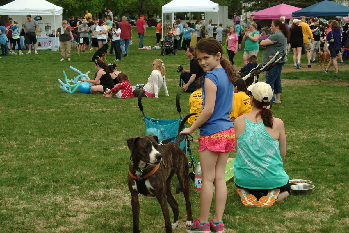 MRFRScats's tweet photo. Join the Strut for Strays(a 5k run and walk) to benefit MRFRS May 31, 2015. http://t.co/IBLFEv4xOv #Strutforstrays http://t.co/u4QMdDvxFc