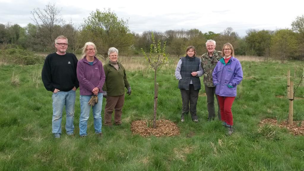 A great morning at Butts Farm community orchard-clearing tree wells, mulching and a bit of pruning #cranepark #FORCE