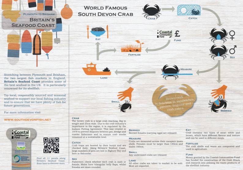 shellfishermen_'s tweet photo. Want to know more about #SouthDevonCrab?Graphic from @SouthDevonFish #Eatmorefish #EatShellfish @SAGB @NippersLooe http://t.co/l6QDfGNgmn