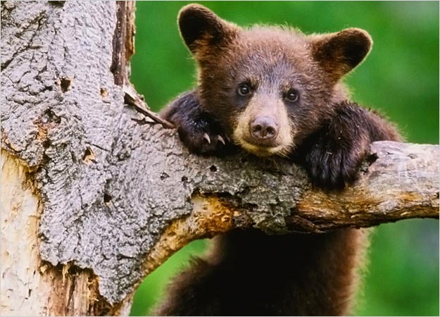 lilPhilosophe's tweet photo. #NationalBeerDay rar http://t.co/8hgDECWe0l