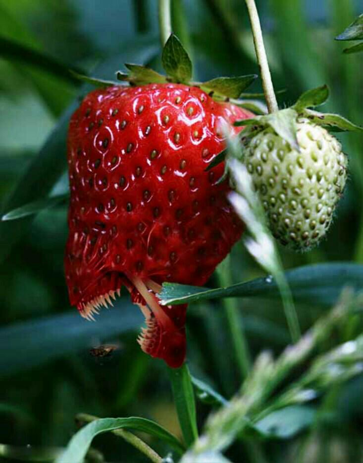 Prepare monolog shooting (@ Slogi Stand Up Comedy in Bandung, West Java w/ <a href="/beltsazare/">Daniel Marthennas</a>) swarmapp.com/c/aAdjh62qxvV