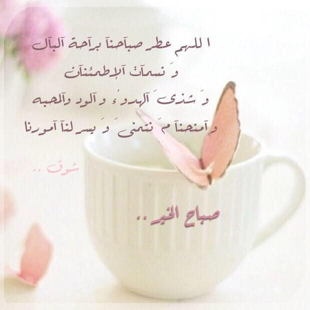 hasoosa11 (@altamime11) on Twitter photo 