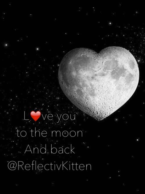 ReflectivKitten's tweet photo. The moon and back
#RKIT http://t.co/z6KHVrb3wL