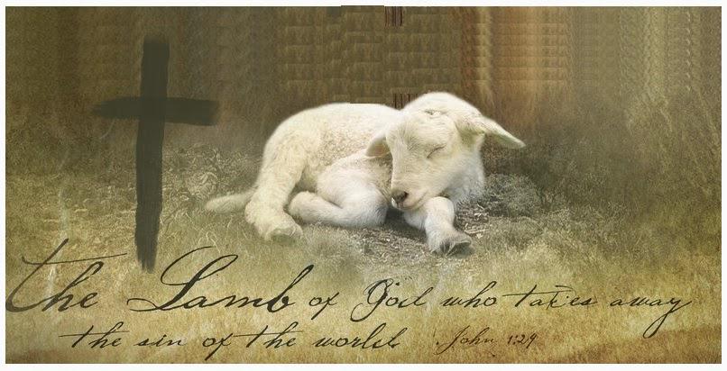 jstines3's tweet image. MT @BrianRossi12: Behold, the Lamb of God! Amen, Hallelujah! #CCOT #TeamJesus  #RenewUS #PJNET