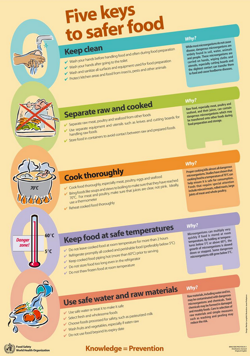 CMHAOntario's tweet photo. Healthy food is important for good #mentalhealth. Check out this great @WHO infographic on five ways to #safefood: http://t.co/HvFCCZBKEM