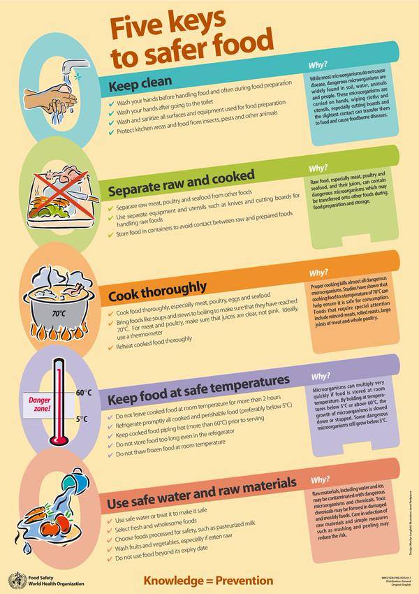 volunteerGSC's tweet photo. This year's #WorldHealthDay is all about #foodsafety! RT this chart from the @WHO and share the knowledge. http://t.co/5tjmnvnFu9