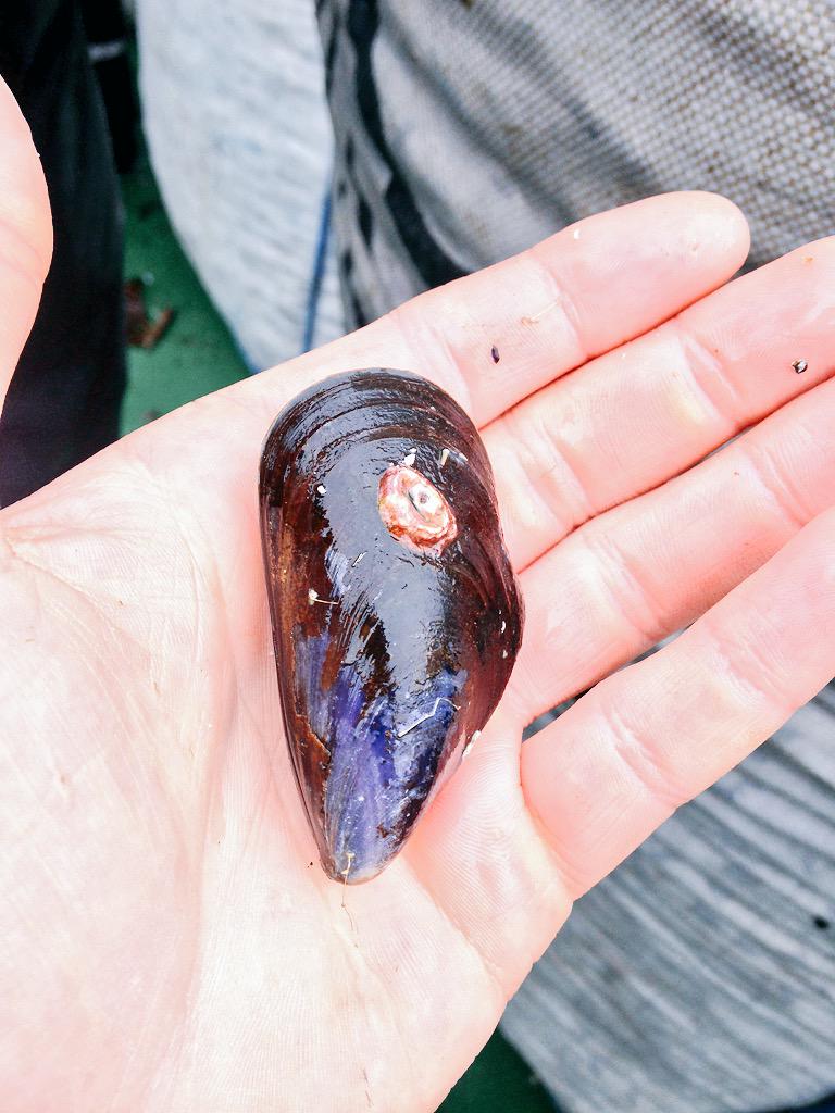 Campbells tweet media