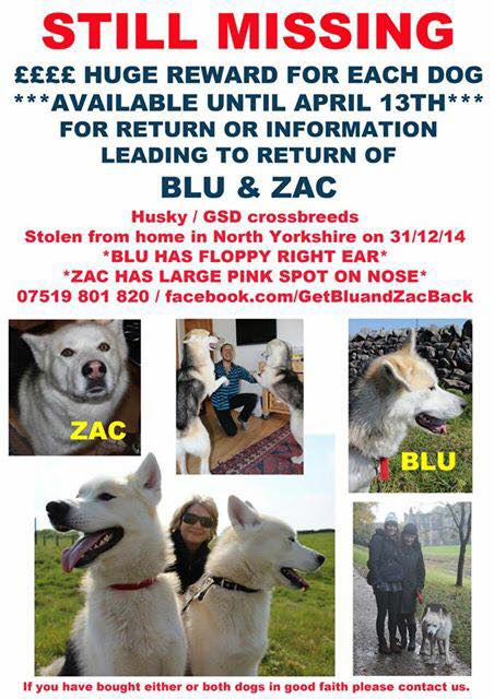 RSPCA_official's tweet image. RT @bluandzac: 3 days left till our Thunderclap.  Please #RT and support thanks #yorkshire thunderclap.it/projects/24261…