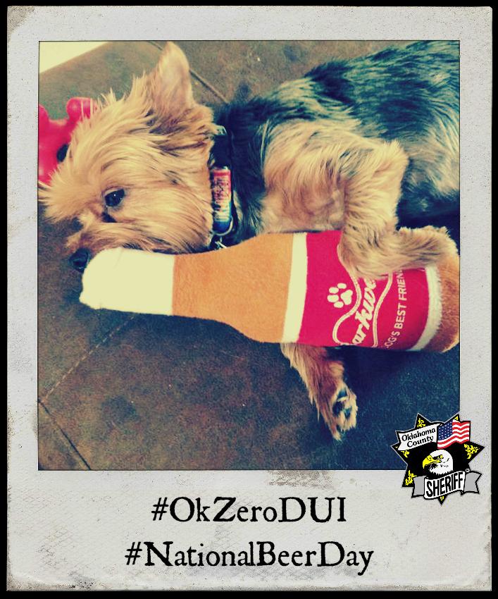 OkCountySheriff's tweet photo. #TuckerTheThunderDog knows after "Barkweisers" NO driving. Don't end up in the doghouse. #OkZeroDUI  #NationalBeerDay http://t.co/nixueXMpHT