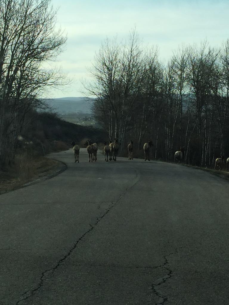 huntdayapp tweet picture