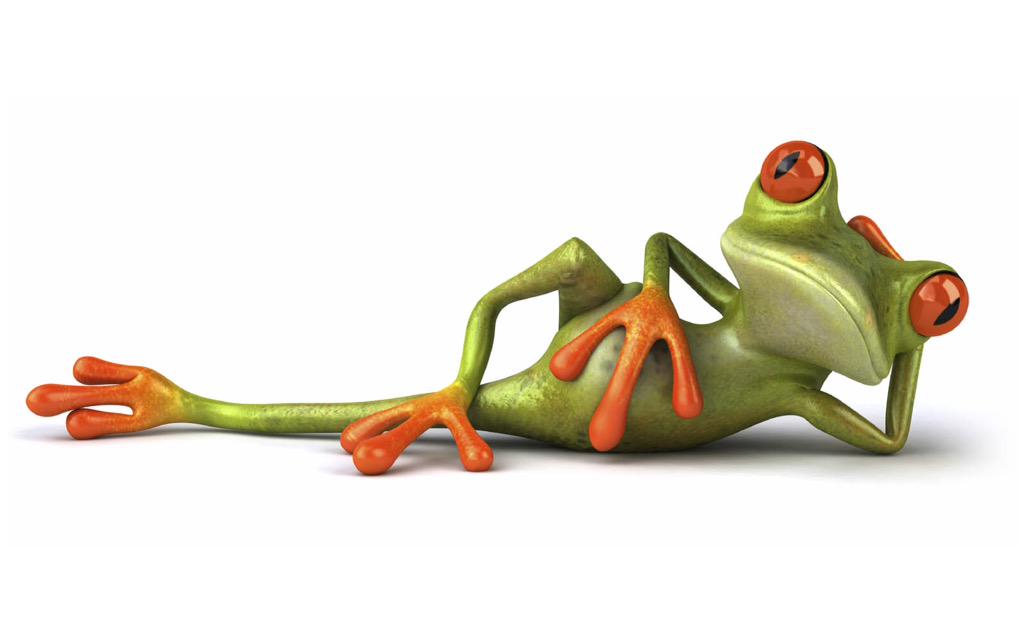 JustinAsAFrog tweet picture