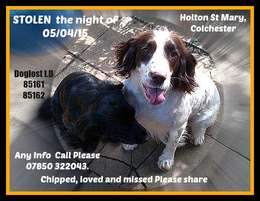 RT <a href="/FindOurPup/">Sarah Williams</a>: Sky &amp; Ruby need ur help. Stolen the night of  5th April we need em hot xx thunderclap.it/projects/24673…