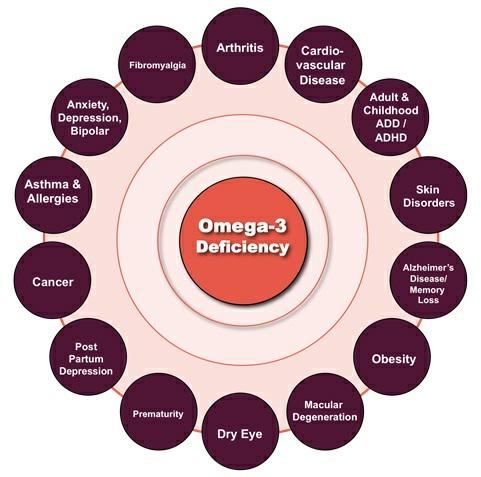 noRDIcoil's tweet photo. It's #WorldHealthDay - here's why #omega3 is essential for your #health and wellbeing http://t.co/zVN8EYbm6D http://t.co/XGP4f0CG29