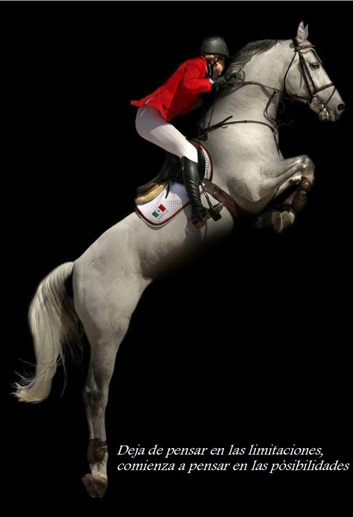 EQUISALUDTV's tweet photo. http://t.co/bi9tYMvD0f