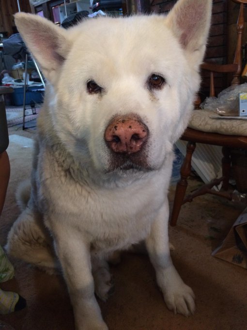 @AsheMareexoxo http://t.co/34HRbkNA17<a class="tags" href="/tag/ashemareexoxo">@ashemareexoxo</a><a href="/tag/webcamgirl"class="tags"><span>#webcamgirl</span></a><a href="/tag/cammodel"class="tags"><span>#cammodel</span></a><a href="/tag/camgirl"class="tags"><span>#camgirl</span></a><a href="/tag/mfc"class="tags"><span>#mfc</span></a><a href="/tag/camshow%20"class="tags"><span>#camshow </span></a>