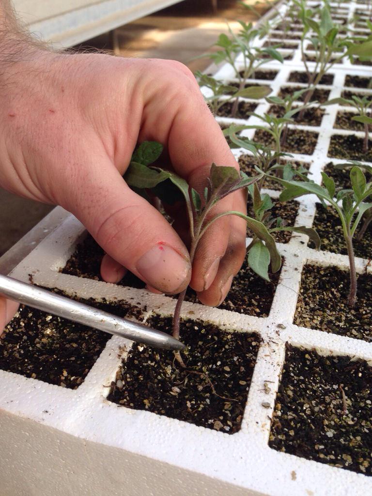 Fund. Miquel Agustí tweet media