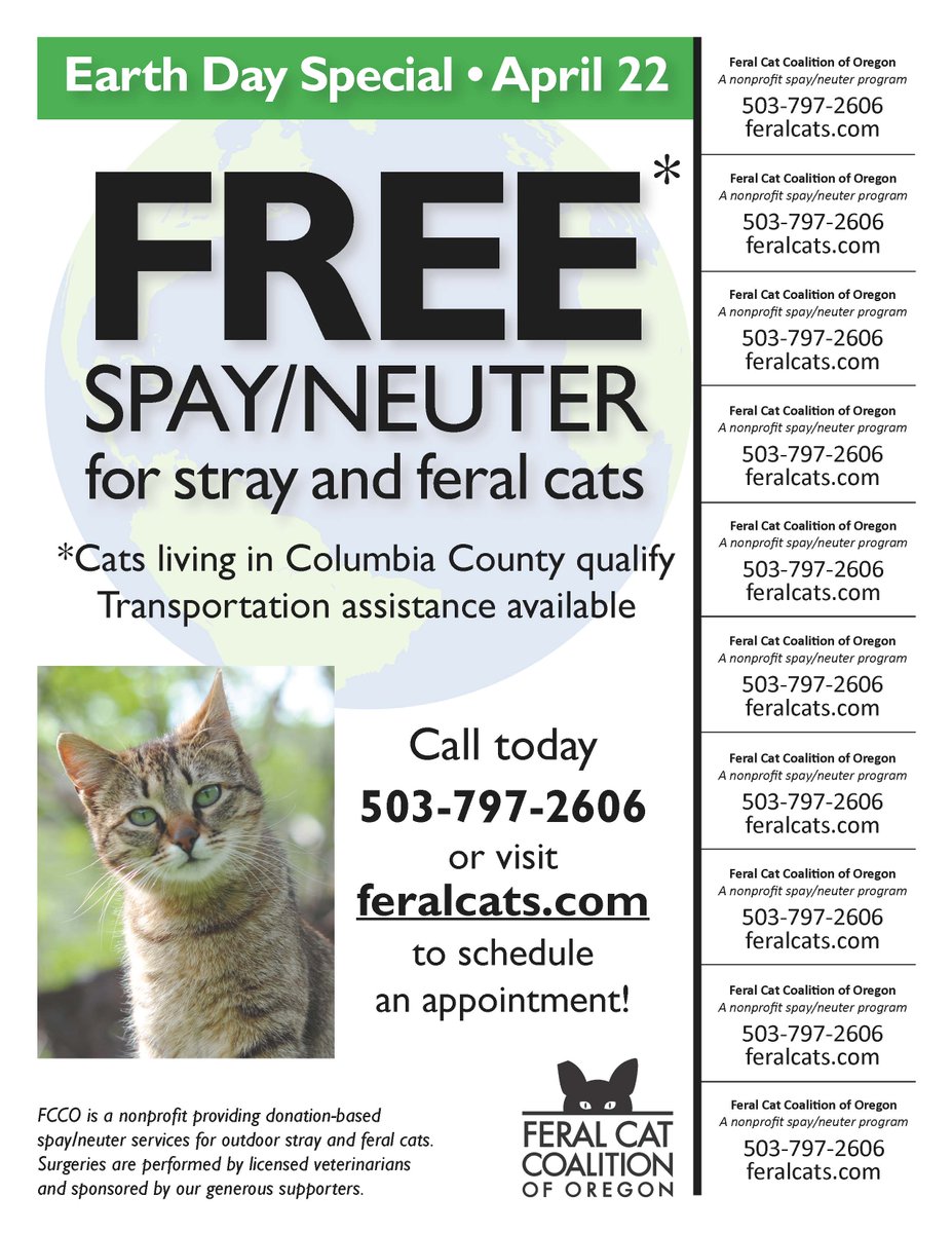 free spay neuter for feral cats