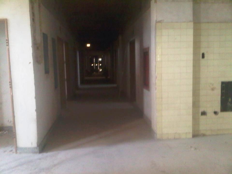 Carlos Graffe tweet media