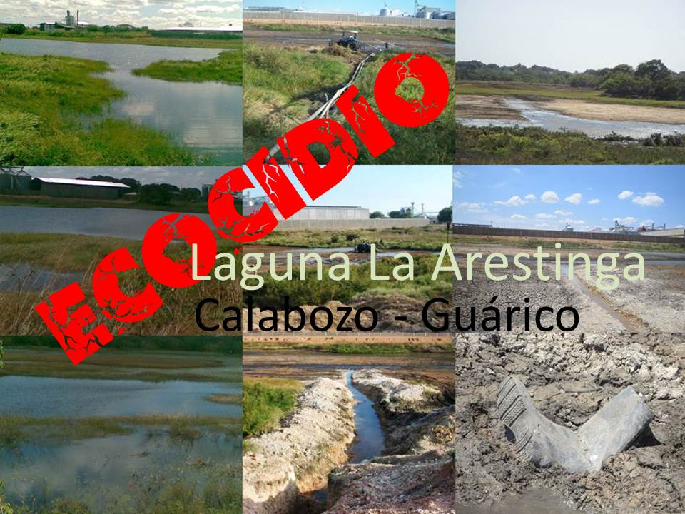 HabitatEcologic's tweet photo. La tierra está herida,¿qué mundo heredaran nuestras futuras generaciones? Laguna La Arestinga, Calabozo -  Guarico http://t.co/nTvfrty8yI