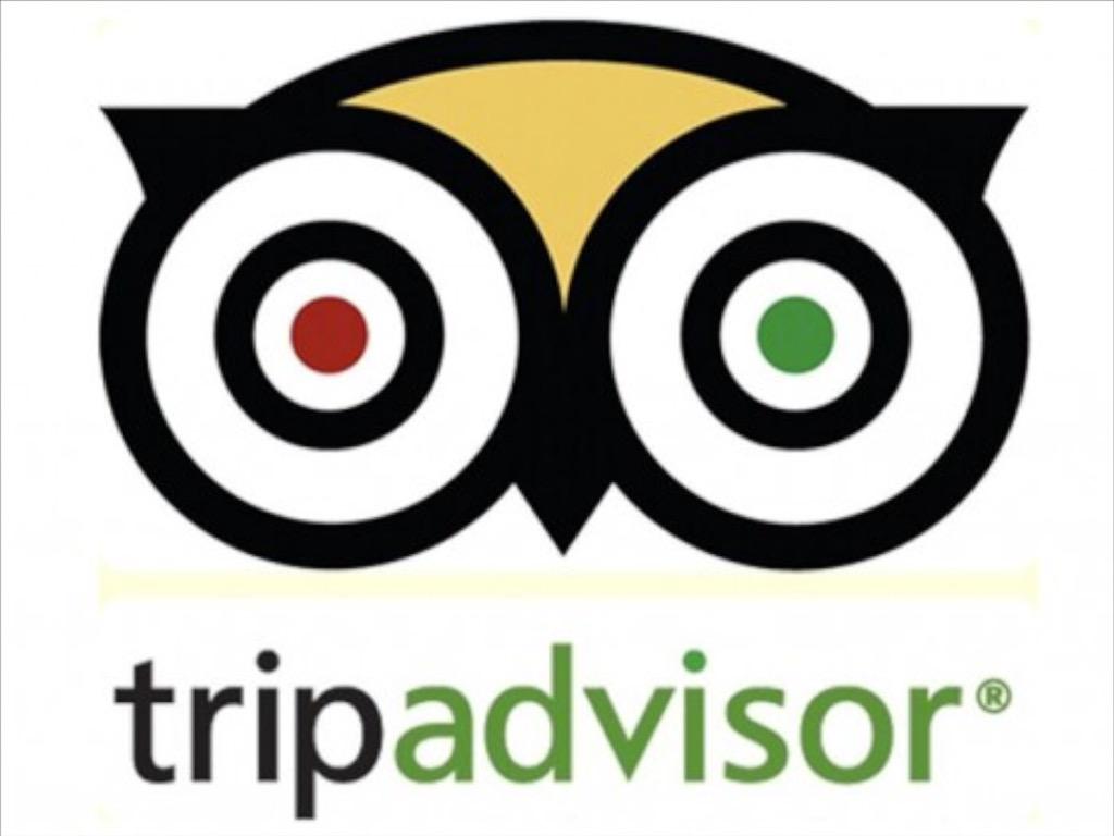 tigresqroficial's tweet photo. Somos @TripAdvisor El estadio Beto Avila ya lo encuentras con #TASticker Comenta tus experiencias y comentarios. http://t.co/GLUWgbYzLE