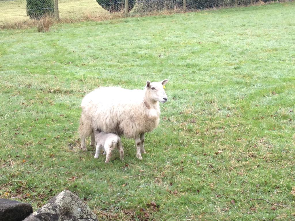 AncTam's tweet image. Springtime !