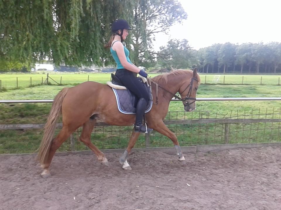 Kimmeetjee's tweet photo. Knapppert! Mis je nog steeds ♥♥ http://t.co/3NMYy3HOKw