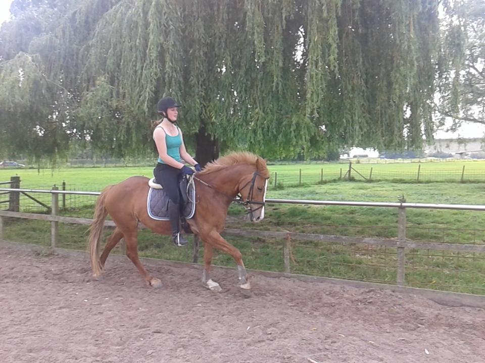 Kimmeetjee's tweet photo. Knapppert! Mis je nog steeds ♥♥ http://t.co/3NMYy3HOKw