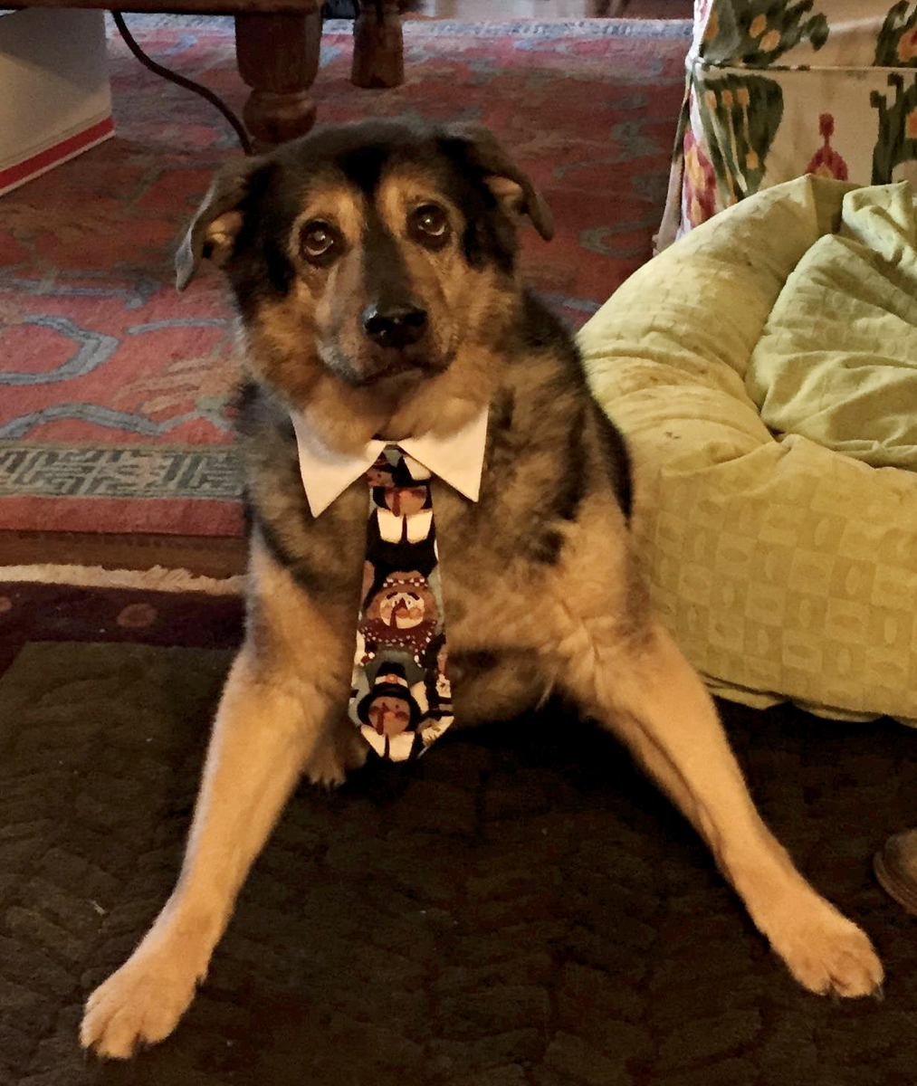 Sad to hear our Giving Tuesday mascot passed away. We'll miss you Cubby, our thoughts are with your human <a href="/feliciaday/">Felicia Day🇺🇸</a>