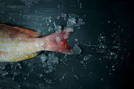 CATCH the wave! MARKET STREET CATCH RESTAURANT. 14 market street. Steps from St.Lawrence market. #hookline&amp;sinker