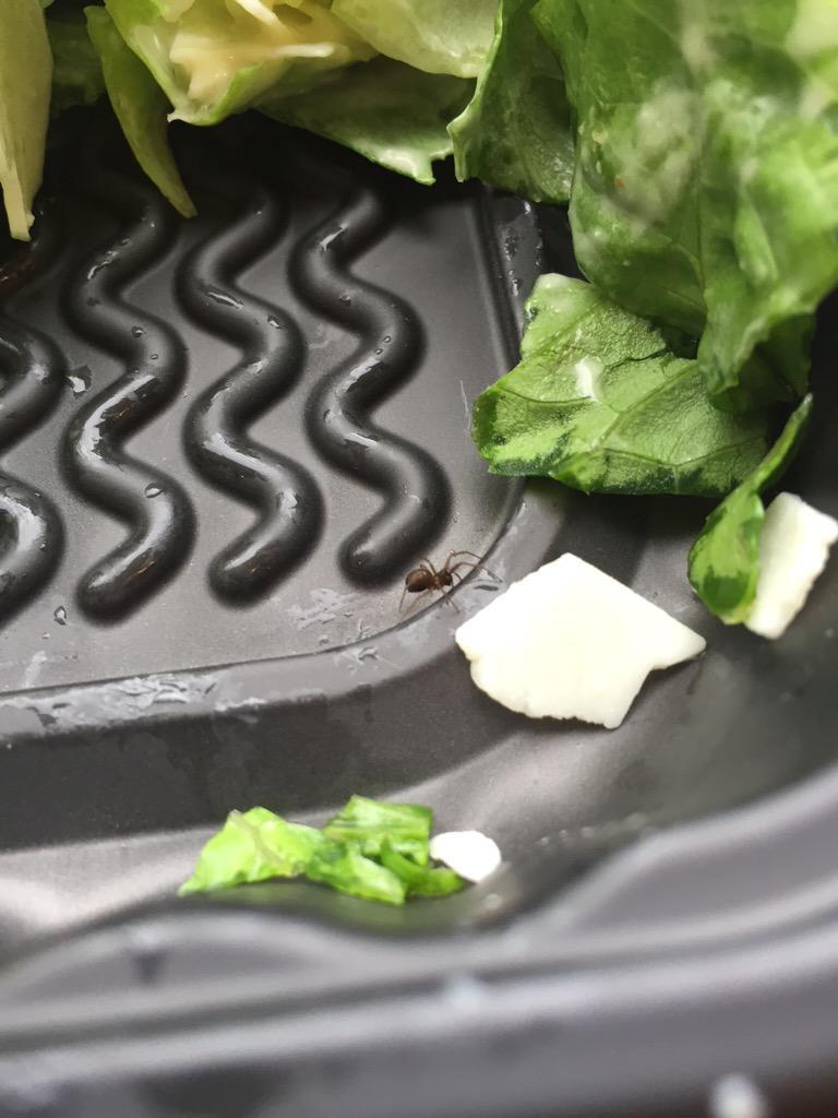 Brian Ricks tweet media