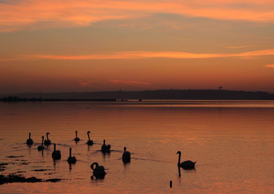 thejournal_ie tweet picture