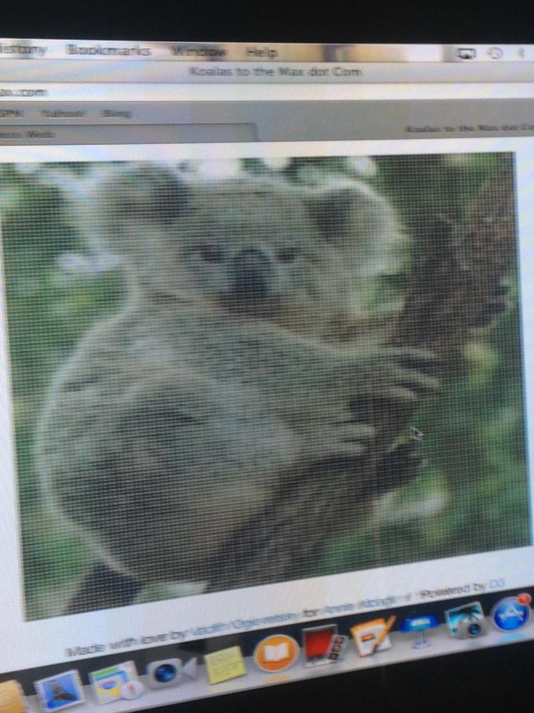 Austins1315's tweet photo. Omg   @pewdiepie I took the time to do the koala dot thing! http://t.co/yoWXcgJjNp