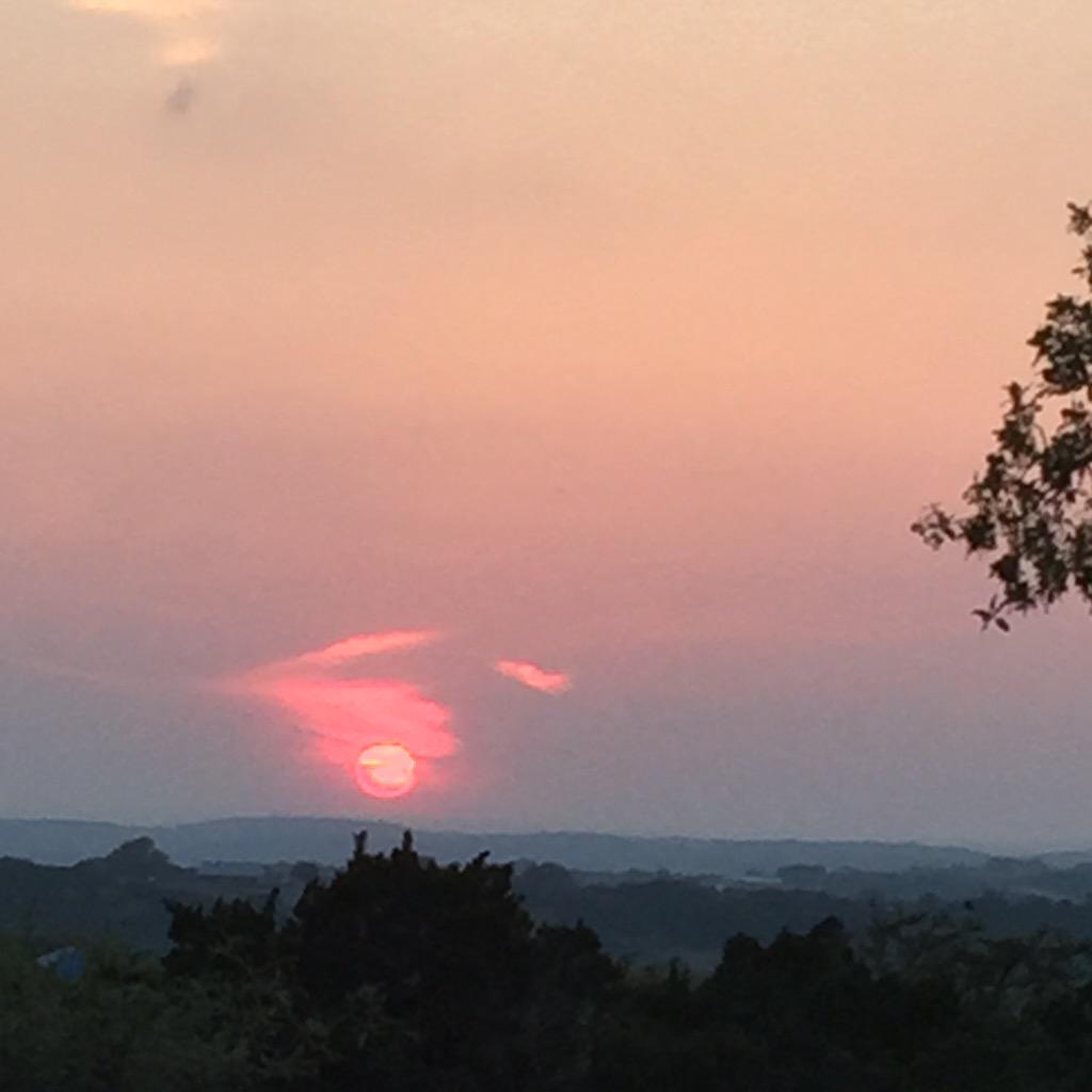 Tediman Hoovestol (@thoovestol2) on Twitter photo 