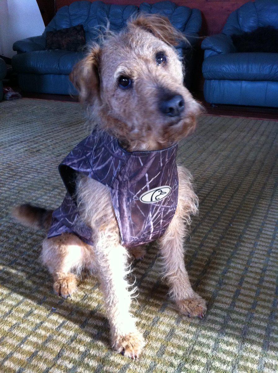 Forrest Estate  tweet media