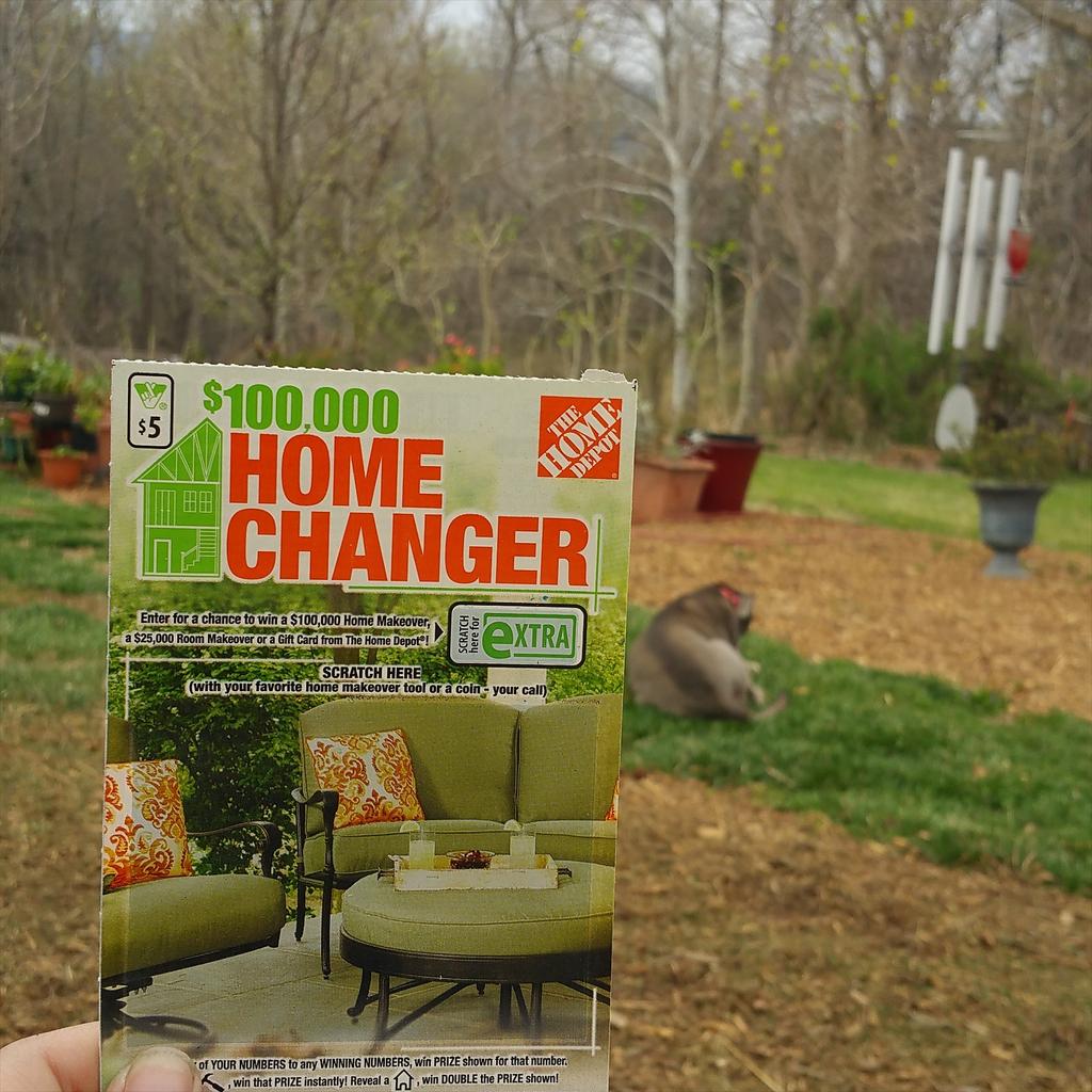 MeganStarNJ's tweet photo. In Virginia on vacation and saw this.  I had to buy it.  I bleed orange. @MattKeatinghd @LemmaTony @SoniaDacm121003 http://t.co/TJpNK7e6zi