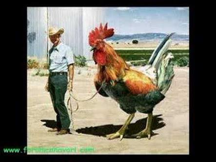 Anil09A's tweet photo. İlginç görüntüler http://t.co/EK5MJLGhzK